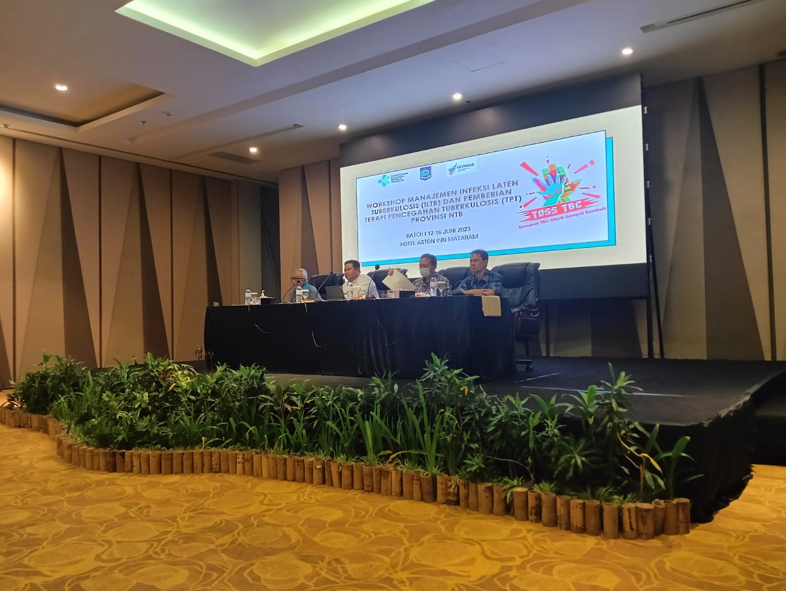 Workshop Manajemen Infeksi Laten Tuberkolosis (ILTB) dan Pemberian Therapy Pencegahan Tuberkolosis(T